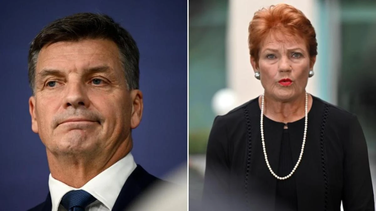 New polls show One Nation support falling as independents gain ground