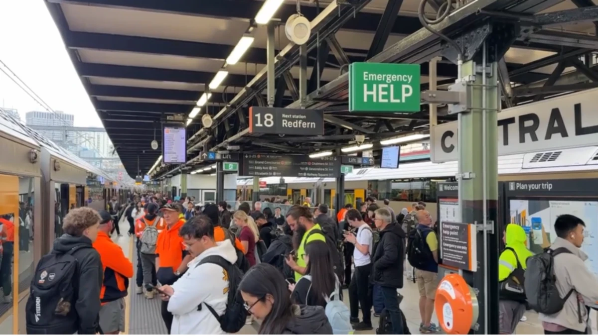 Commuter gridlock as train network collapses in live wire incident