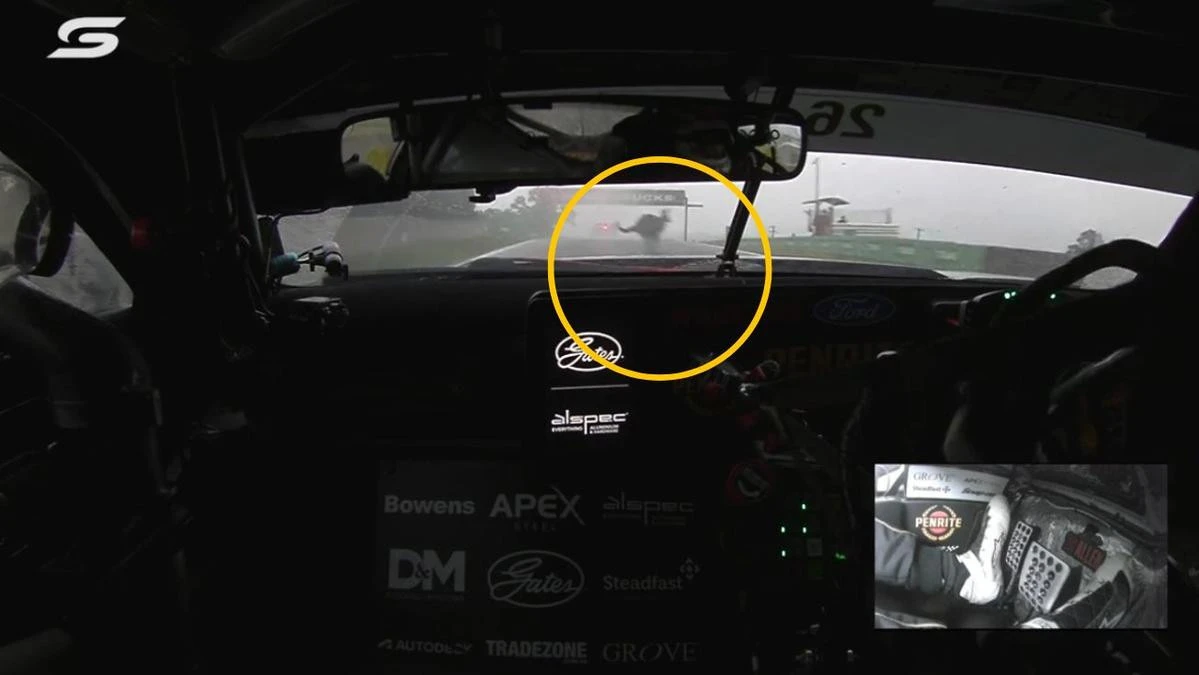Crazy Bathurst vision emerges of driver’s frightening kangaroo scare