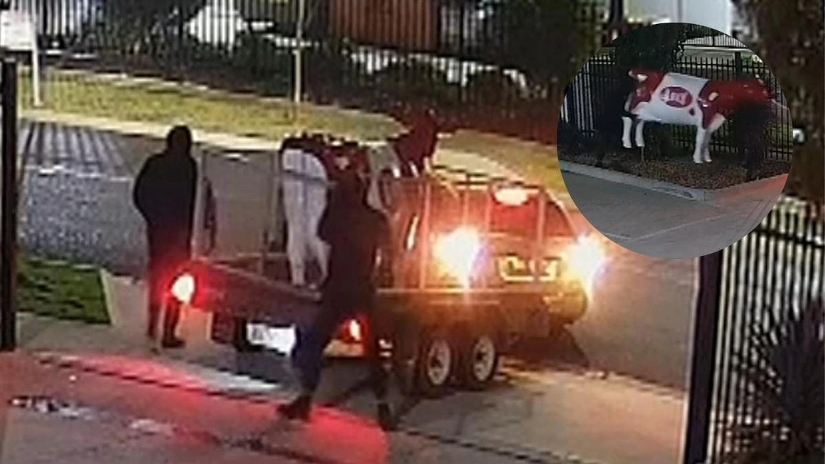 Udderly outrageous! Thieves steal $3500 cow statue ‘Betsy’