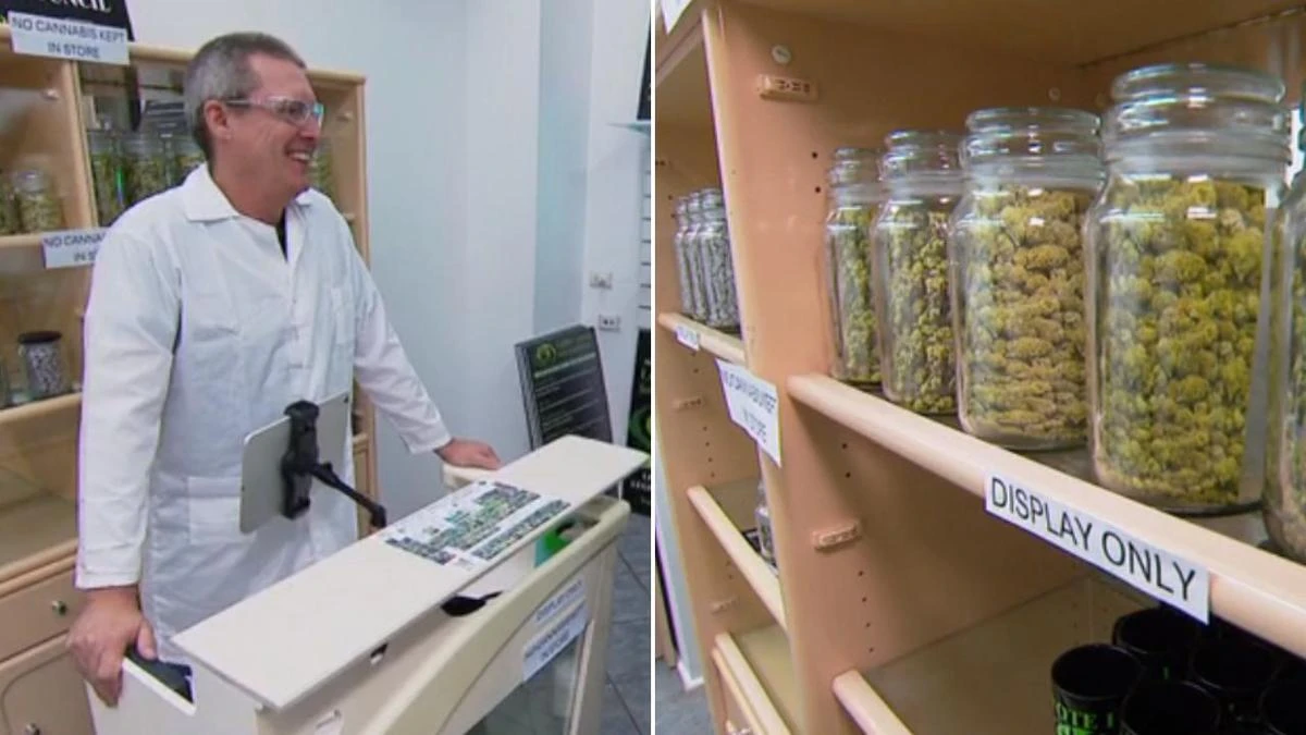 The amount party claims legal cannabis could generate