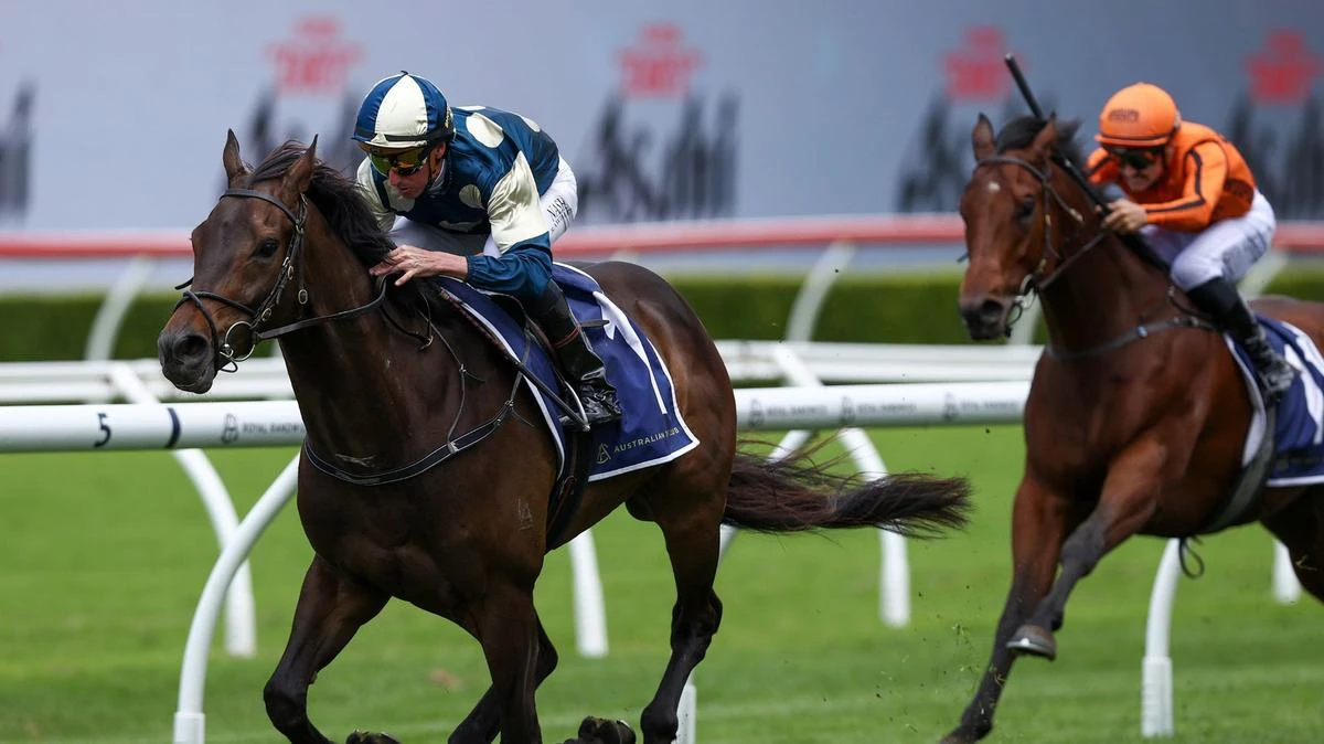 Gringotts goes back-to-back to win the Big Dance