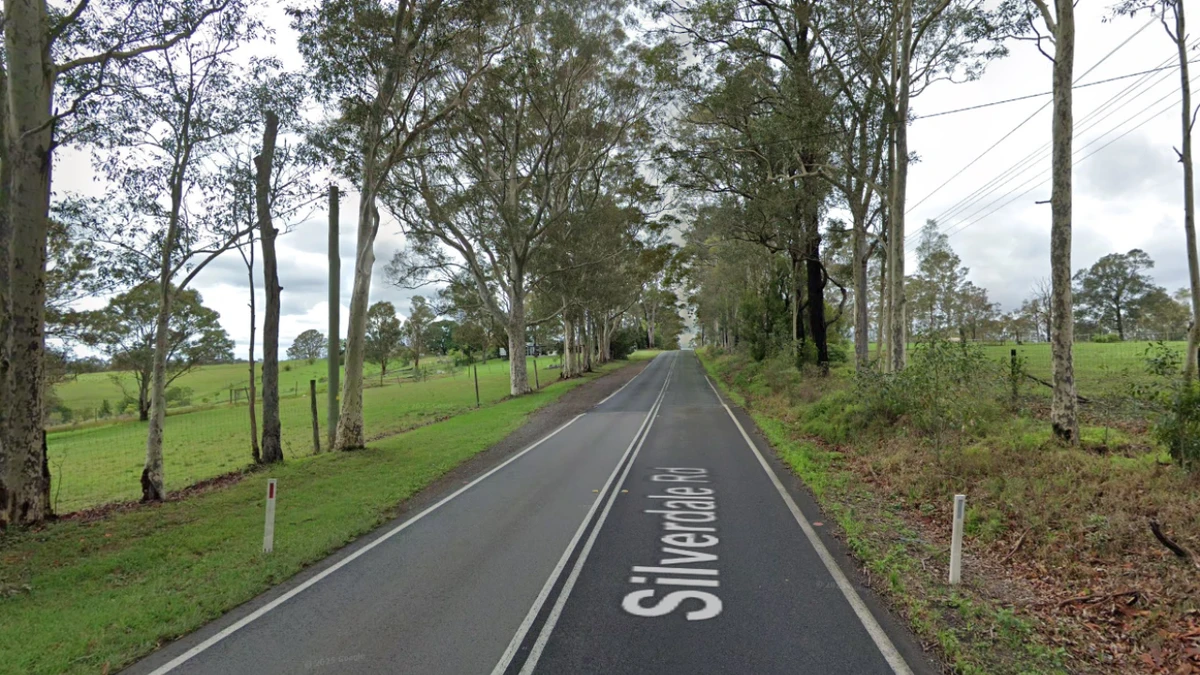Bus carrying eight students veers into bushes after collision