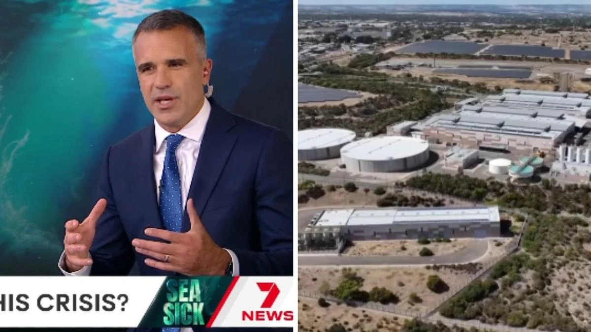 SA divided on role desalination plants play in removing harmful algae