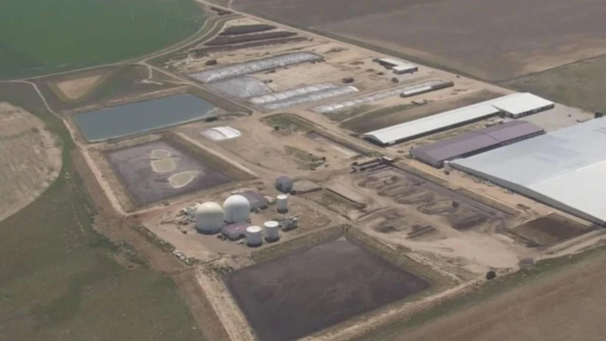 Six bodies found at US dairy farm