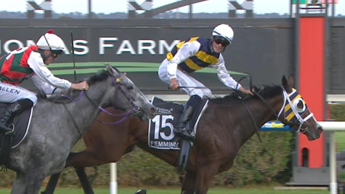 Unlikely $19 outsider’s price skyrockets after Group 1 Derby triumph