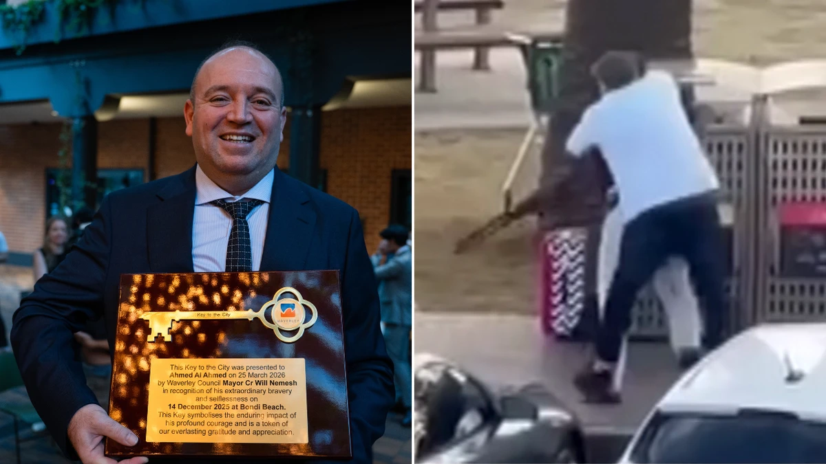 Bondi terror attack hero Ahmed Al Ahmed charged with assault