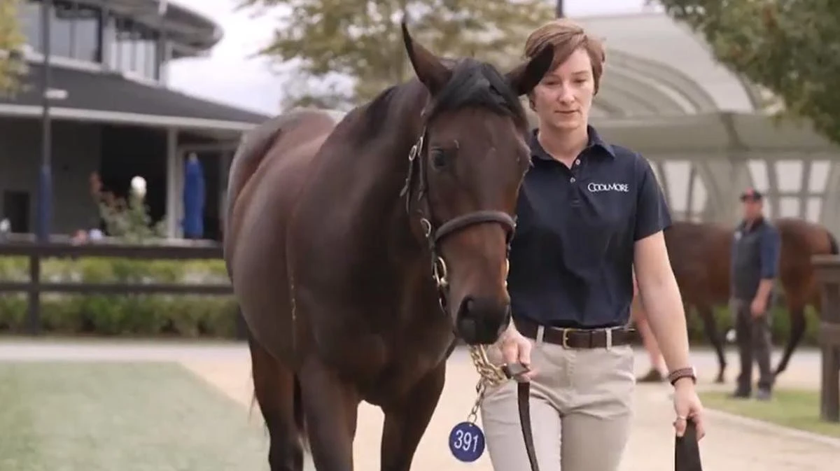 Trainers share sad update on Winx’s $10m foal