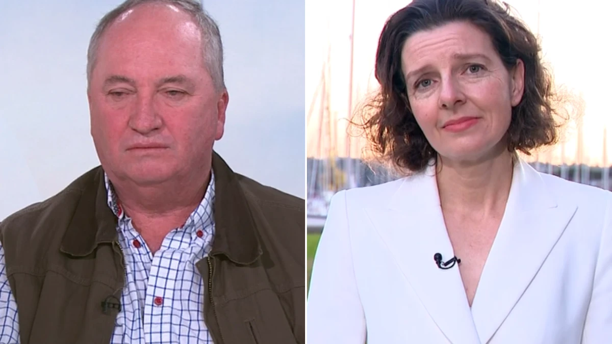 Joyce defends Hanson as support for One Nation slips