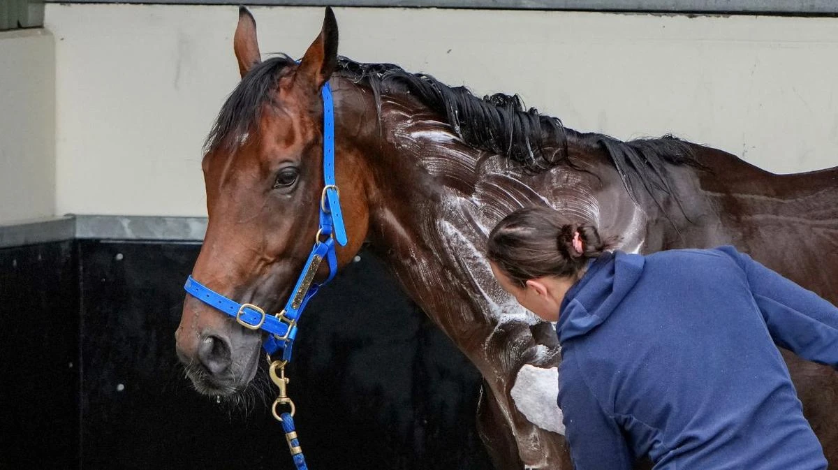 Melbourne Cup hopeful Absurde changes preparation