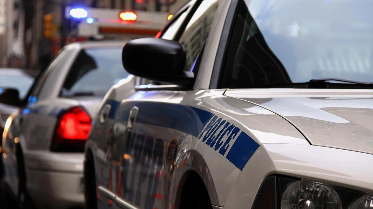 EMERGENCY RESPONSEHollywood actress ‘critically injured’ in hit-run crash