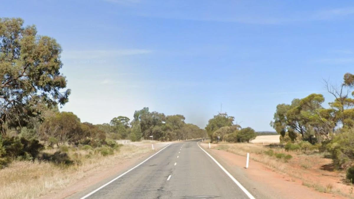 Man killed as ute collides head-on with truck