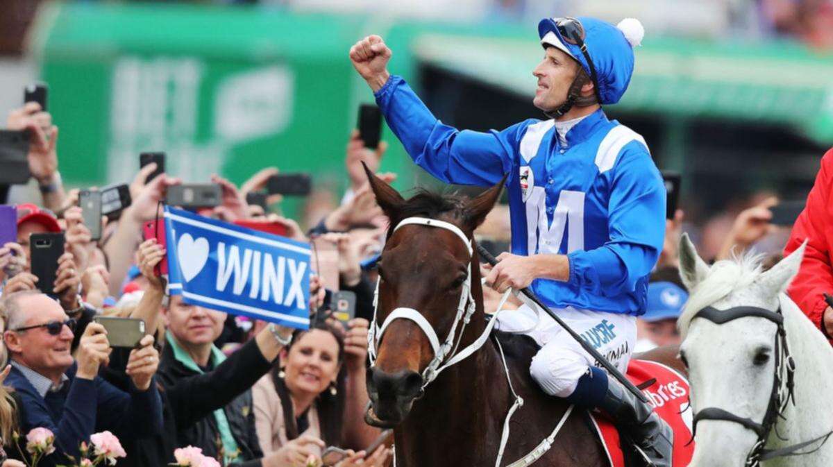 Relief as Winx owners share major update on champion mare