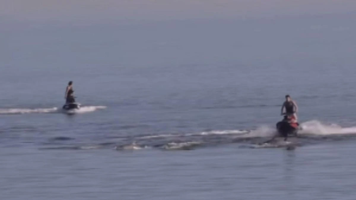 Police hunting jet ski riders over shocking act with dolphins