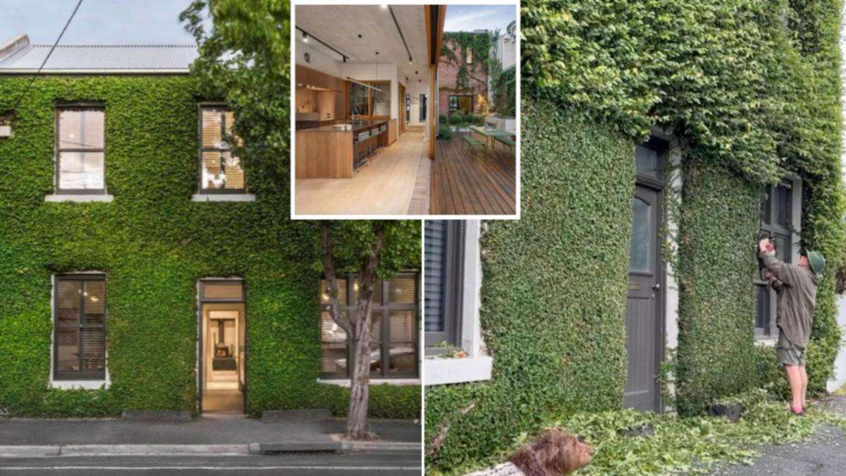 Almost 16 million people have looked at this incredible ‘vine house’ online. Now it’s for sale