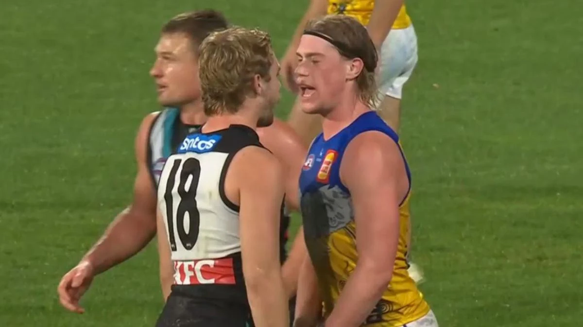 Jason Horne-Francis and Harley Reid clash in fiery exchange