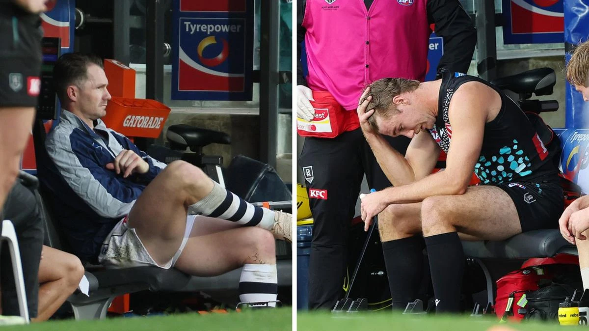 Dangerfield and Horne-Francis injured in AFL carnage