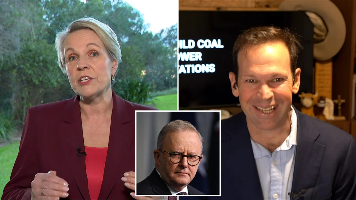 Albanese slammed over donations at exclusive dinner