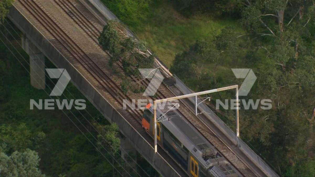 Peak-hour train chaos as fallen tree blocks Sydney tracks