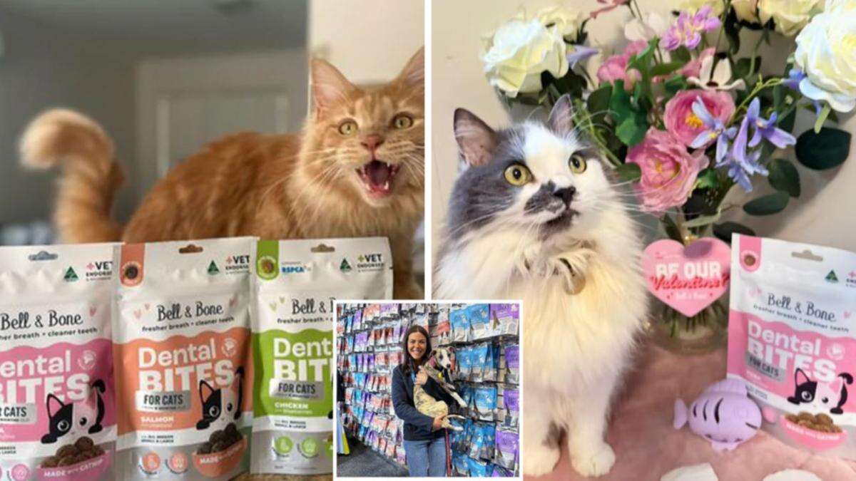 These ‘genius’ treats are solving a common issue for feline friends