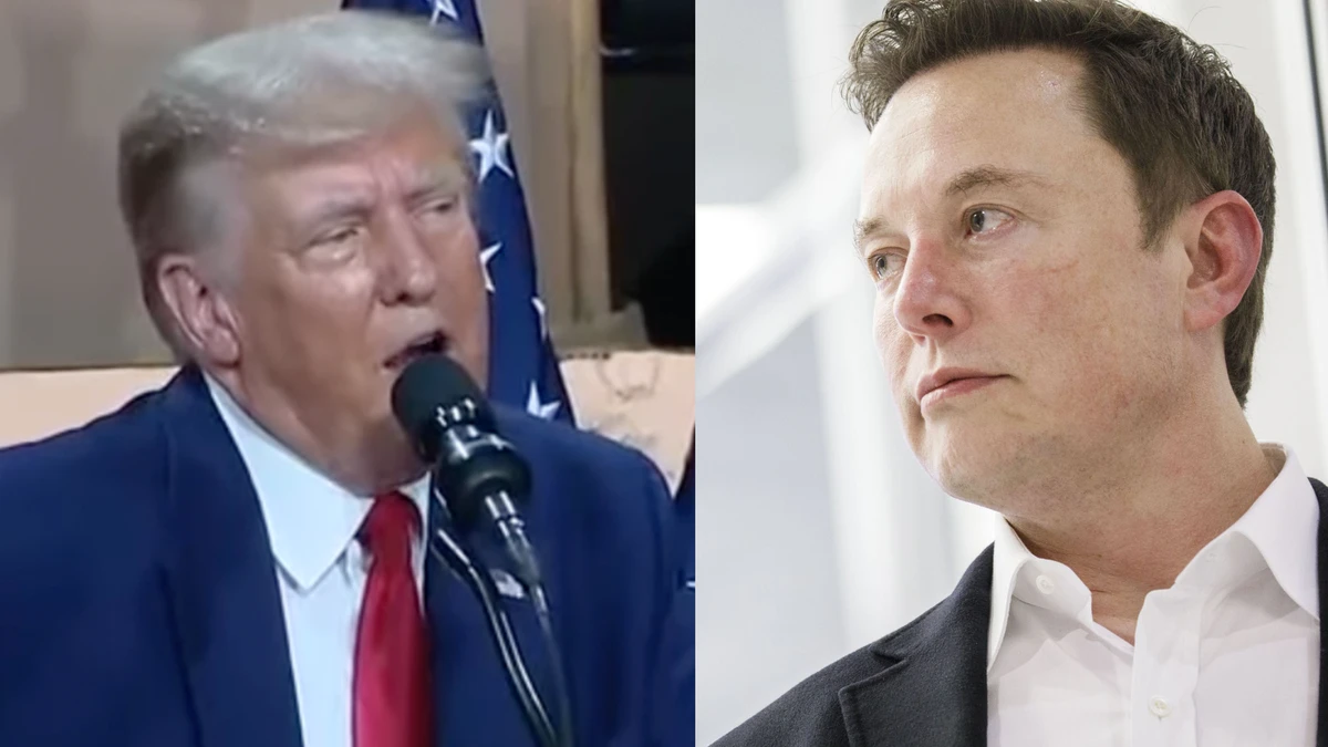Tesla shares slump after Elon Musk announces new political party