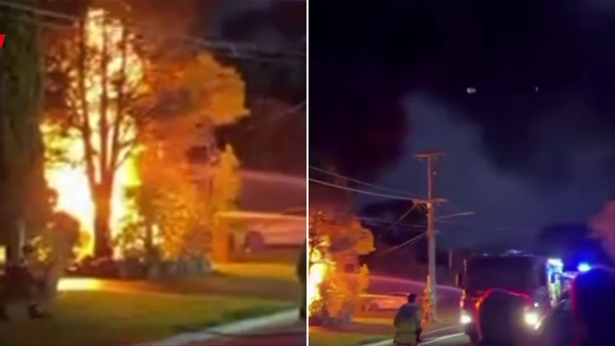 More than 1500 properties in the dark after fire causes blackout