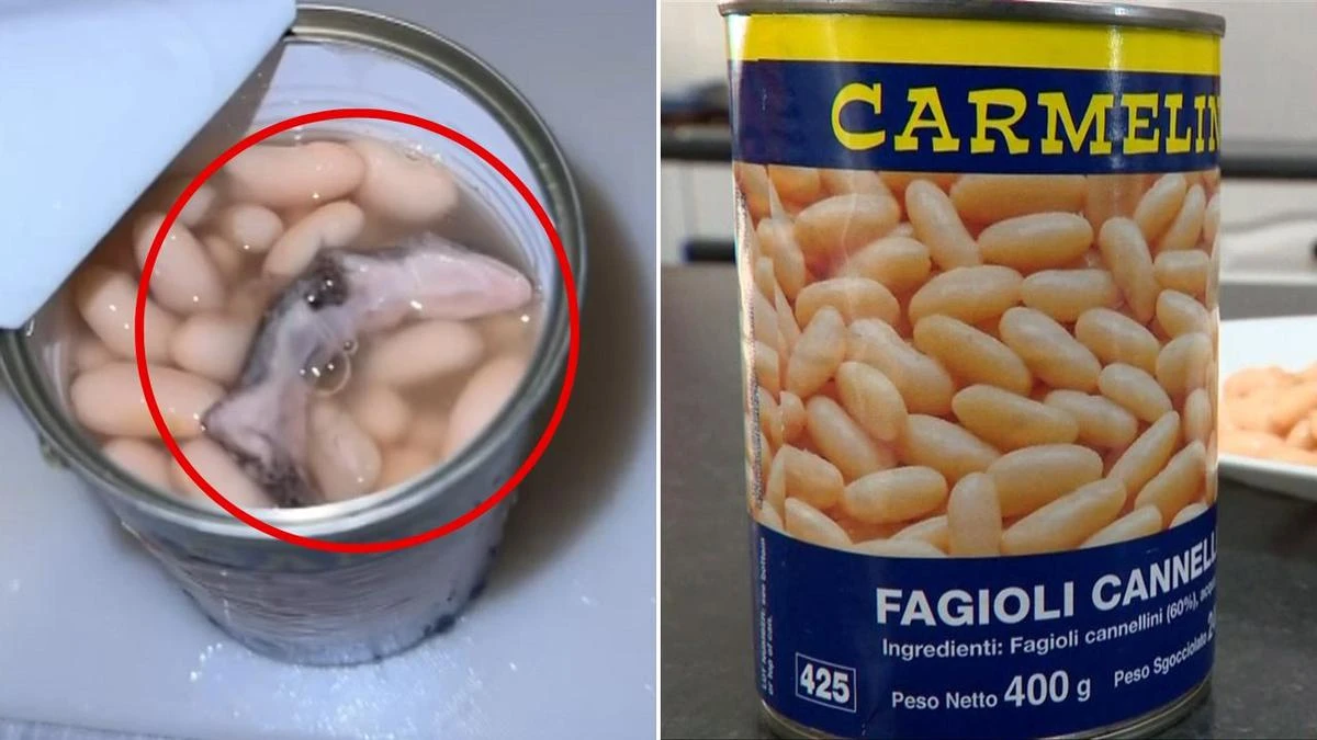 Family claim ‘horrifying’ discovery inside can of beans