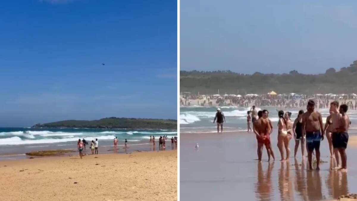 Swimmers rushed out of water as shark alarm sounds at busy Sydney beach