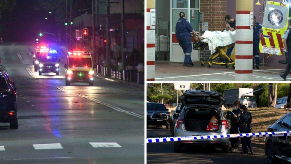 Vigilante twist after man allegedly stabbed in Sydney brawl