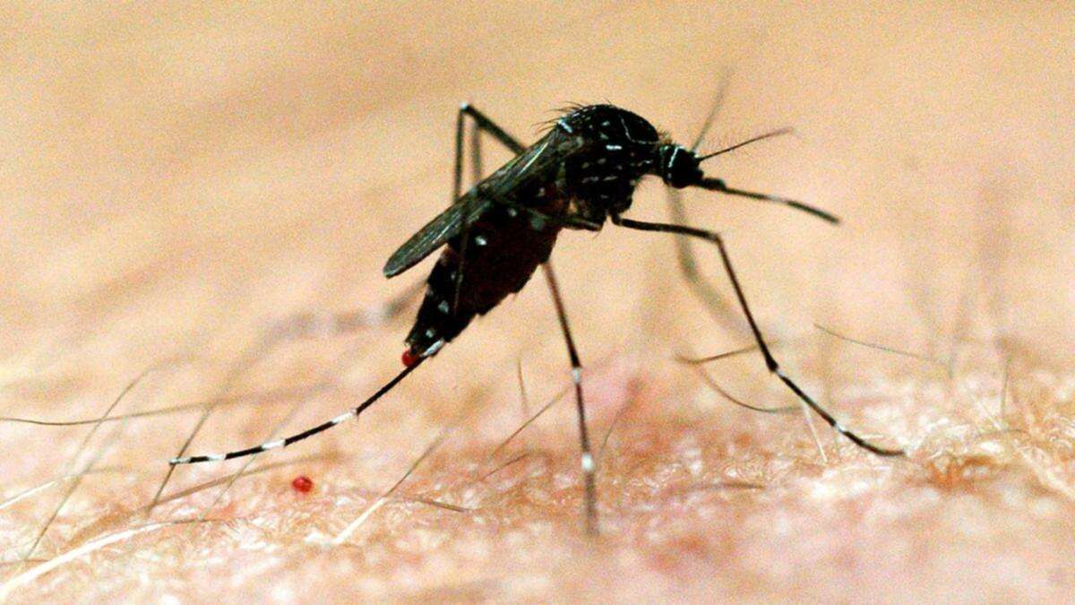 Queenslanders on alert over spread of potentially-deadly virus