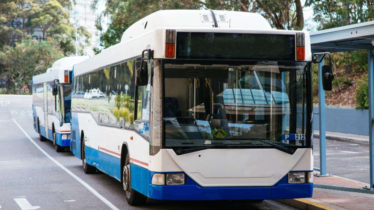 Attempted abduction of girl at Sydney bus stop