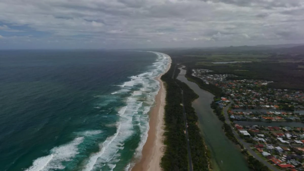 Desperate search underway for missing swimmer
