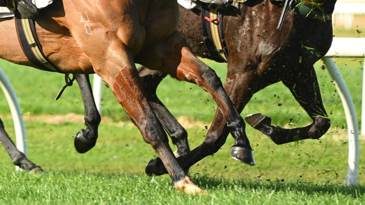 Female stablehand dies after freak accident with horse