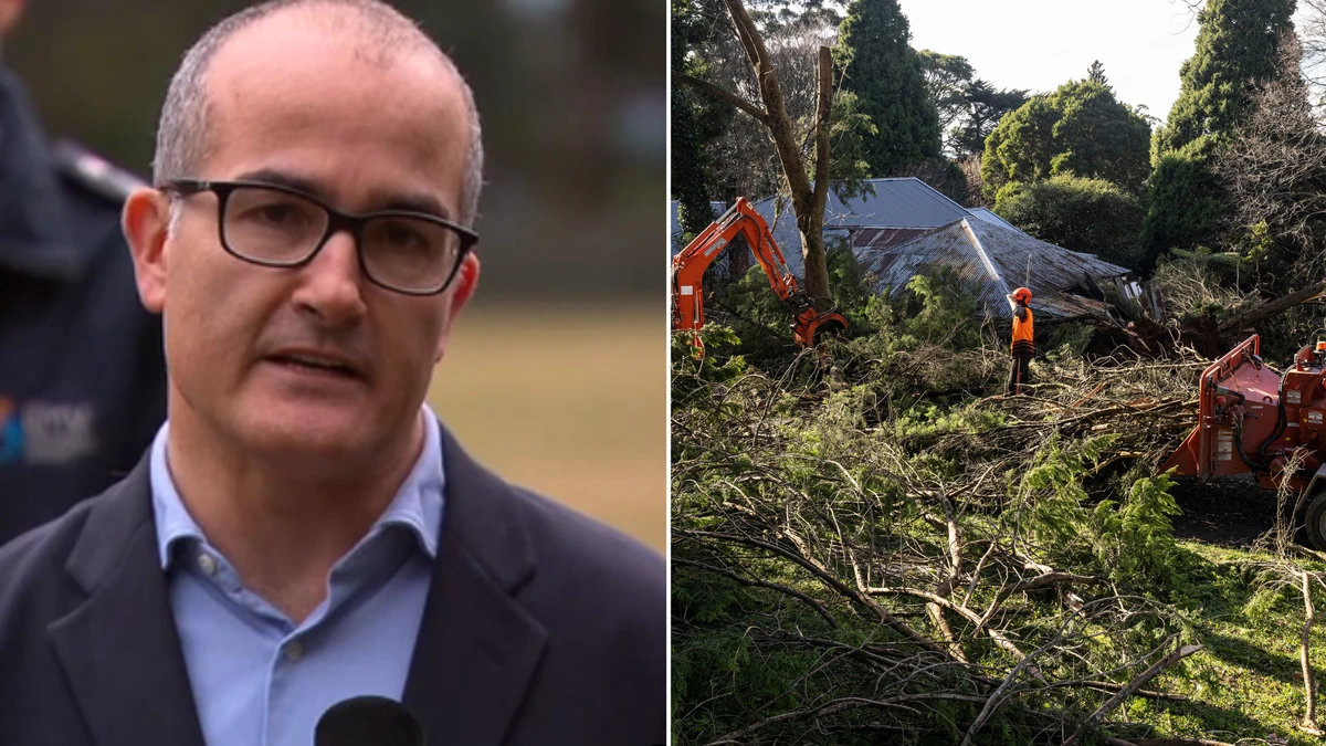 New $1600 payment announced for Victorians affected by power outages in storm crisis