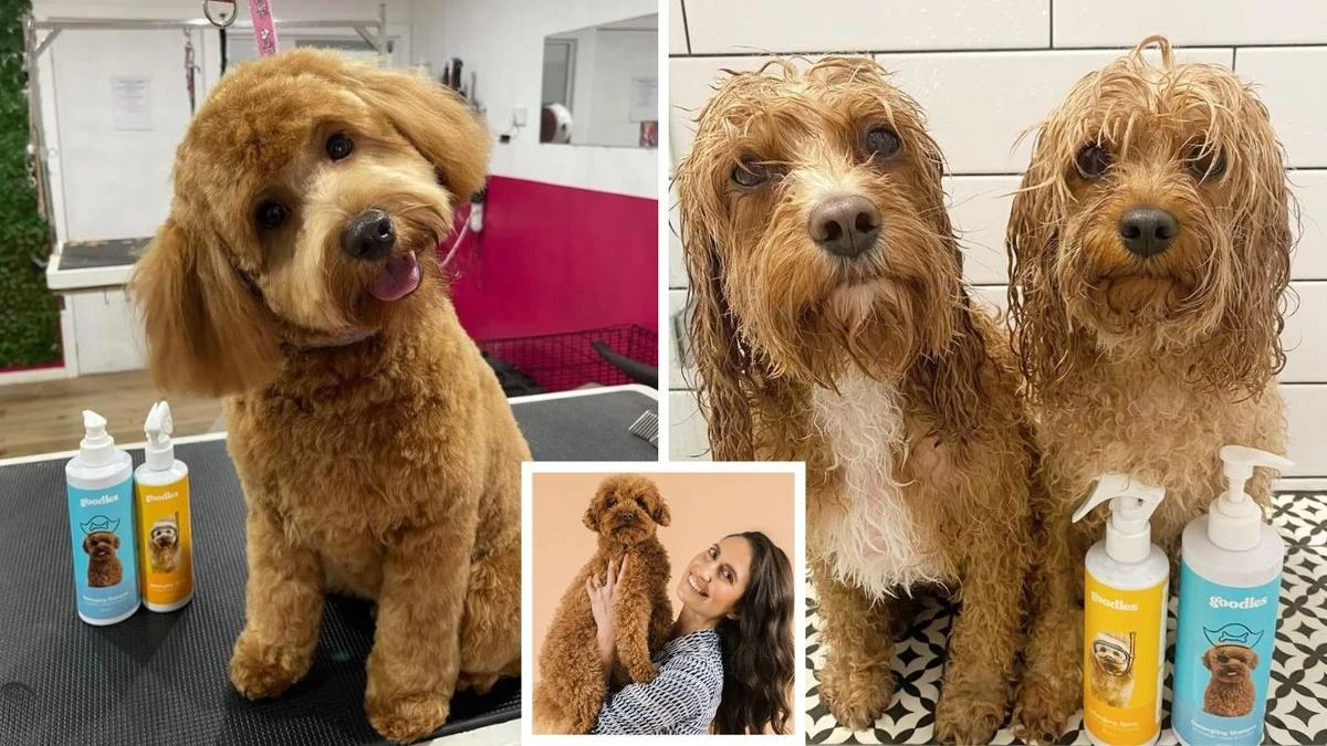 Aussie brand’s miracle detangling products have pet owners raving about the results
