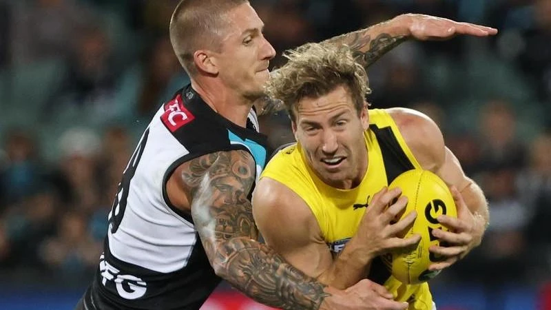 AFLAFL top-four not vital for flag: Hardwick
