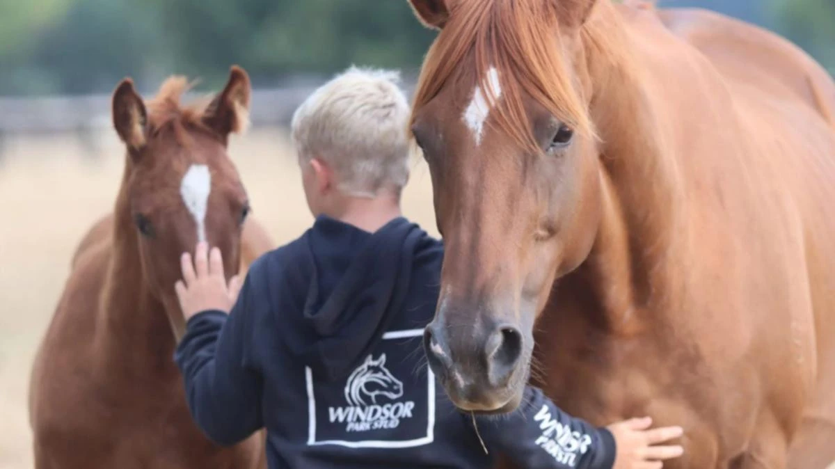 Tributes flow after racing royalty lose son in shattering tragedy