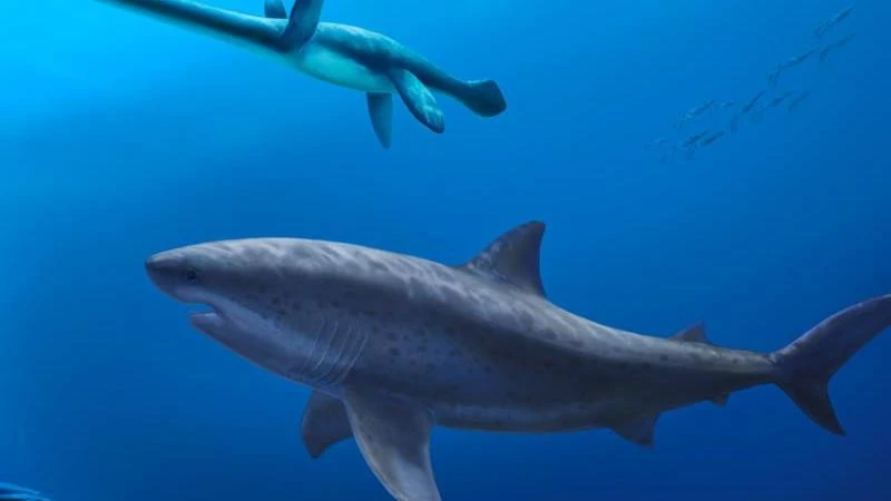 Gigantic prehistoric shark that once ruled Australia’s waters