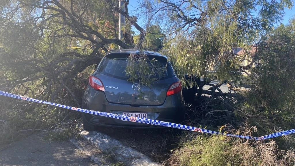 Coles employee CARJACKED at knifepoint by teenage girl - who smashed the Mazda into a pole