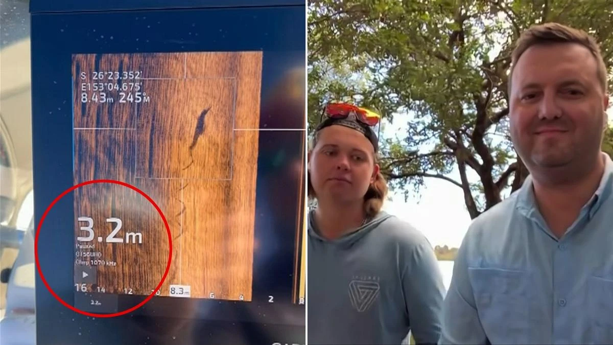 Investigations underway after croc spotted in tourist hot spot