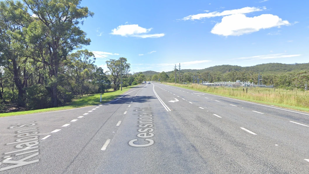 Man, 98, killed after being struck by ute