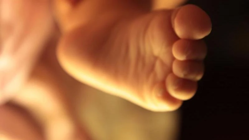 IVF nightmare turns into legal chaos