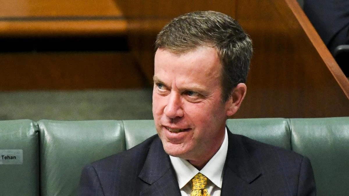 Australia needs more than 'functional WTO'