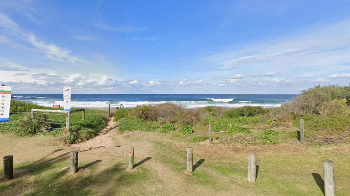 Sydney beach evacuated as shark spotted after shocking attack