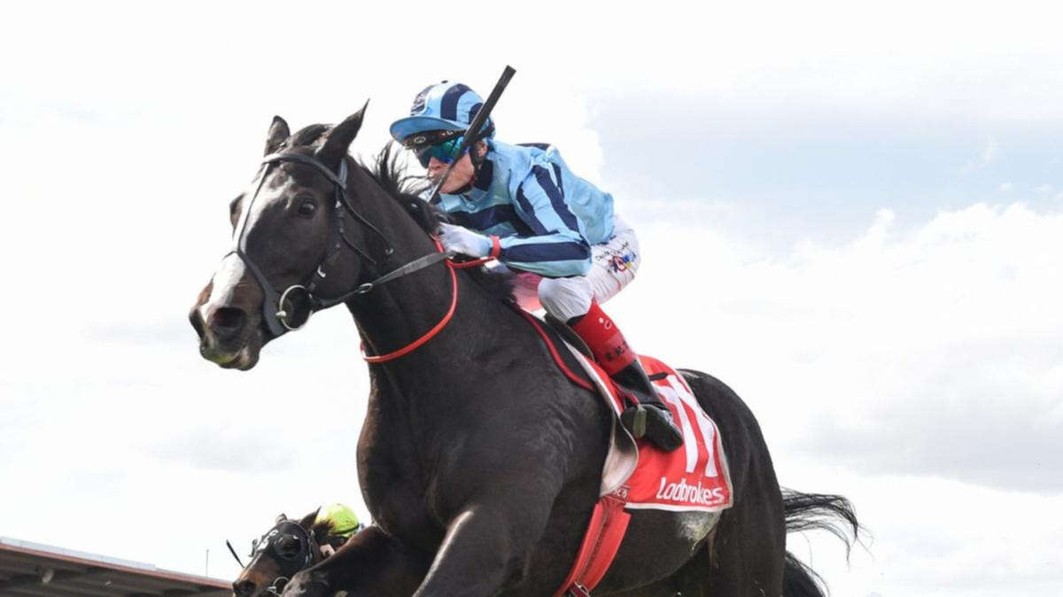 Racing Victoria vets issue update on top Melbourne Cup contender