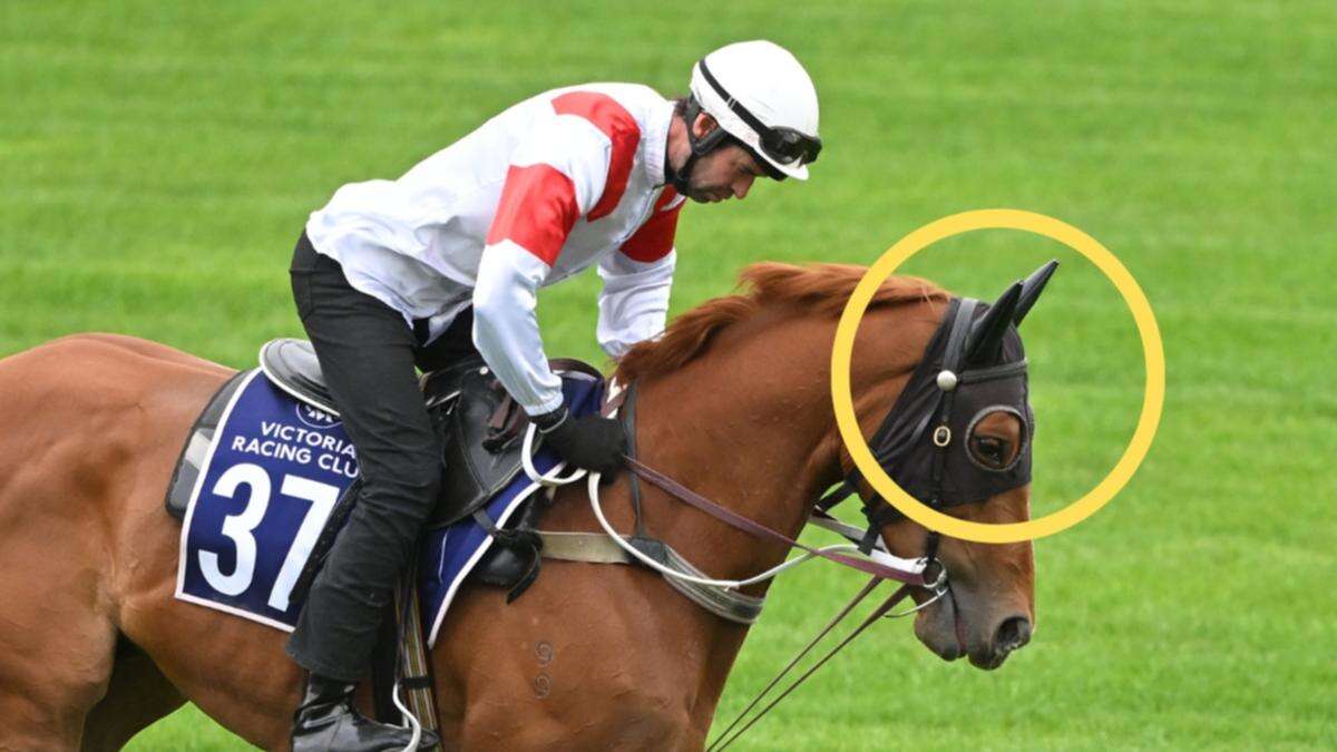 Champion trainer pulls unusual trick on Melbourne Cup contender