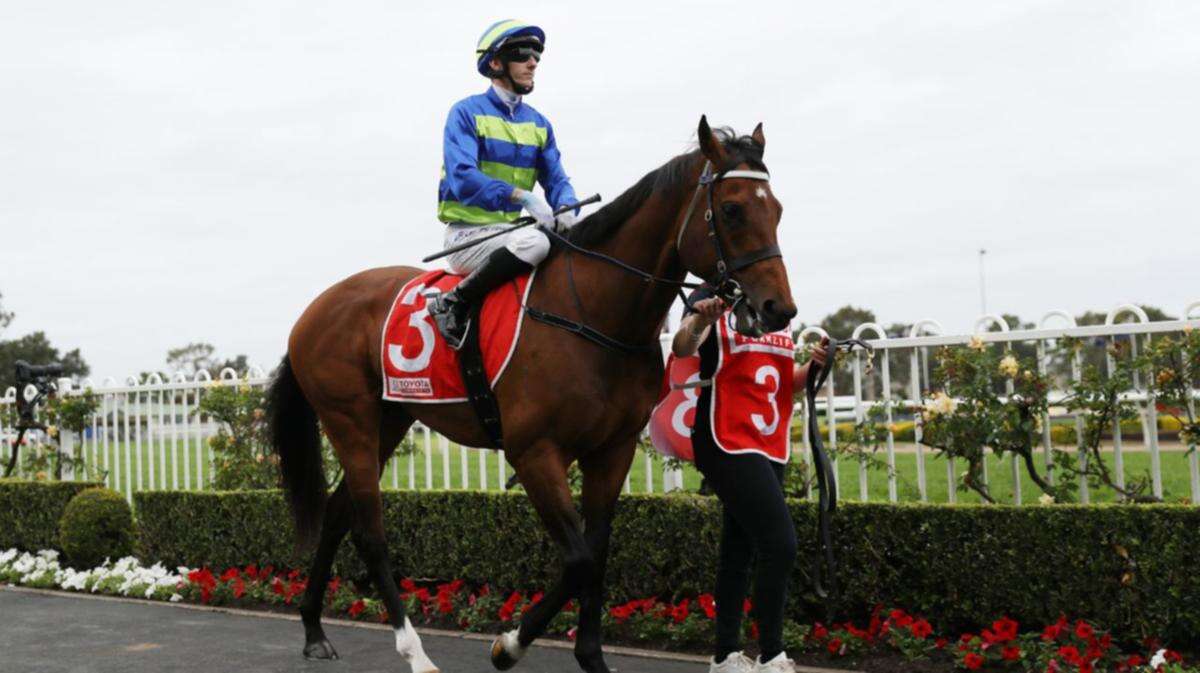 Attrition lands rare slice of luck ahead of $2m Rosehill feature