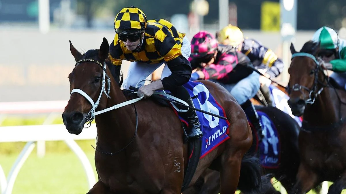 Everest favourite on notice as Waller launches three-pronged assault