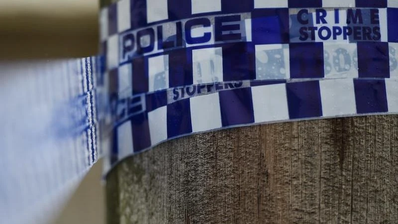 Vic crime stats show family violence spike