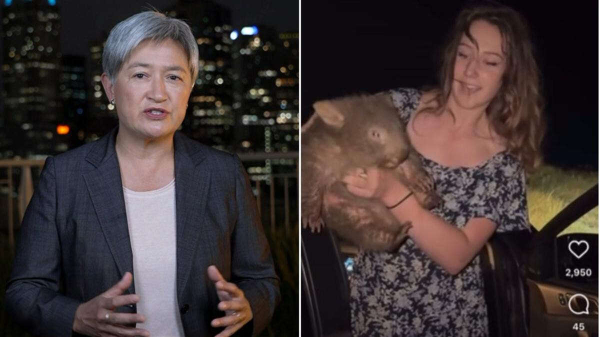 Foreign Minister weighs in on influencer who ripped baby wombat from mother for photo